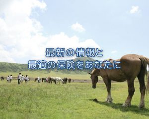 最新の情報と、最適の保険を あなたに